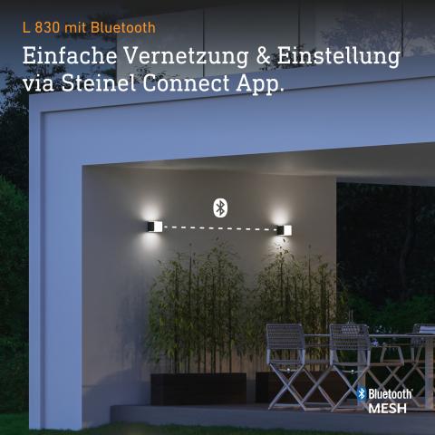 STEINEL L 830 SC anthrazit